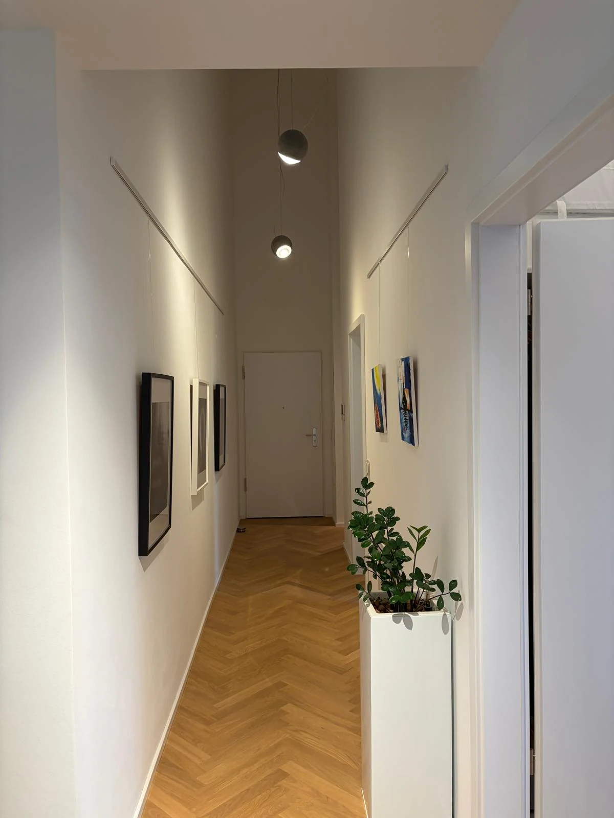 Helle Perspektive durch den Flur mit Kunst und Pflanzenelementen